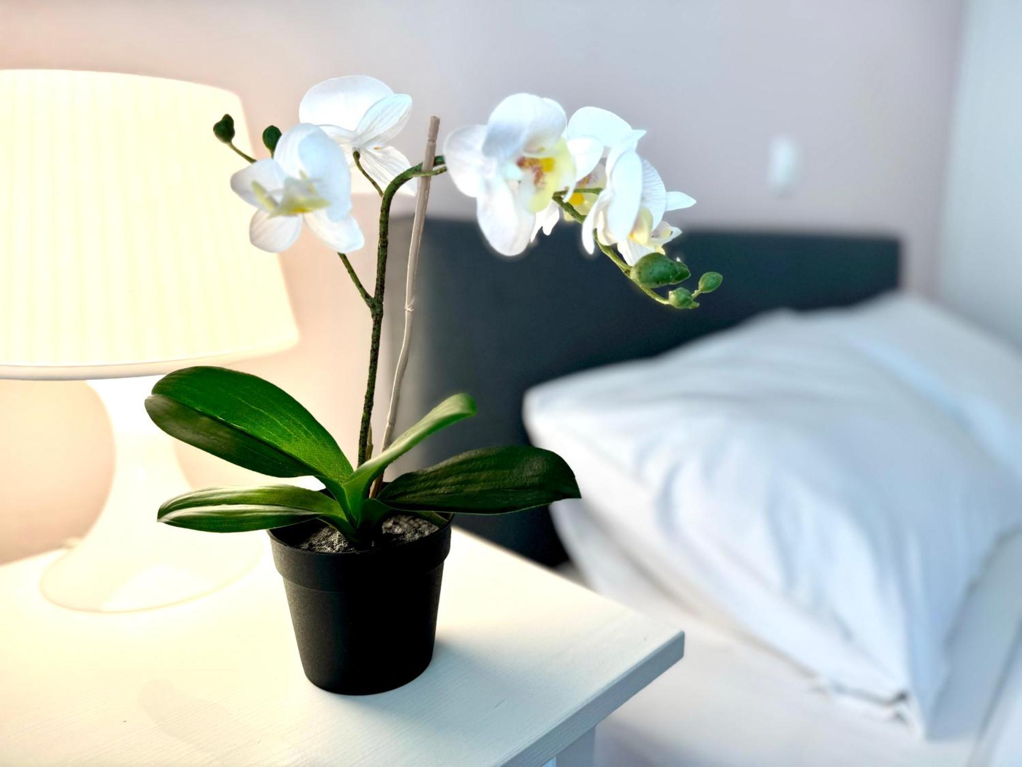 Sun Beach Apartment Anavyssos Ngoại thất bức ảnh